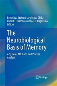 Neurobiological Basis of Memory