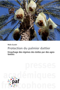 Protection du palmier dattier