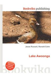 Lake Awoonga