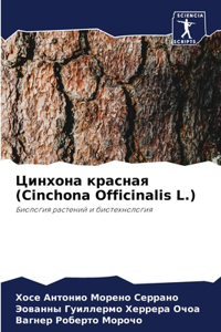 Цинхона красная (Cinchona Officinalis L.)