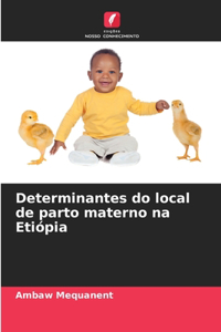 Determinantes do local de parto materno na Etiópia
