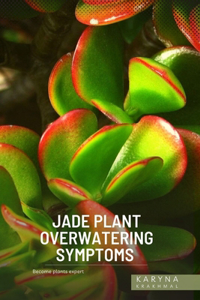 Jade Plant Overwatering Symptoms