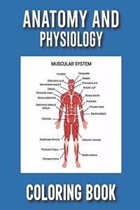 Anatomy and Physiology Coloring Book