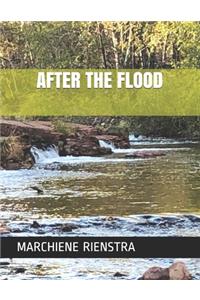 After the Flood