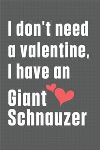 I don't need a valentine, I have a Giant Schnauzer