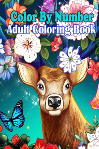 Color By Number Adult Coloring Book