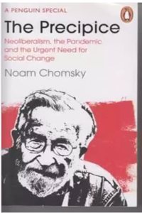 The Precipice Nioliberalism The Pandemic And The Urgent Need For Social Change