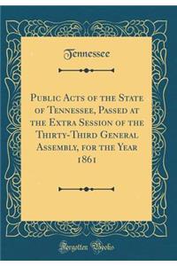 Public Acts of the State of Tennessee, Passed at the Extra Session of the Thirty-Third General Assembly, for the Year 1861 (Classic Reprint)