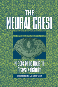 Neural Crest