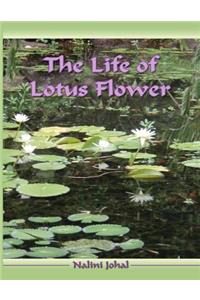 Life of Lotus Flower