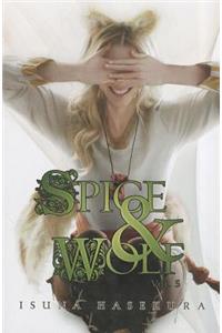 Spice And Wolf: Vol 5 - Novel