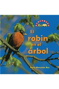 Robin En El Árbol (the Robin in the Tree)