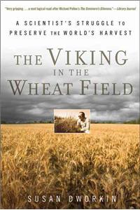 The Viking in the Wheat Field