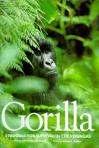 Gorilla