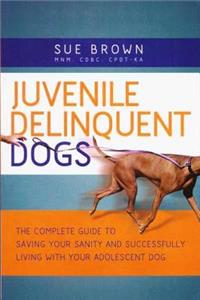 Juvenile Delinquent Dogs
