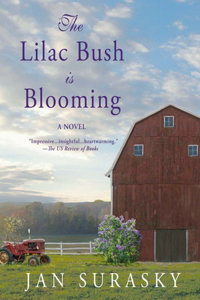 Lilac Bush is Blooming