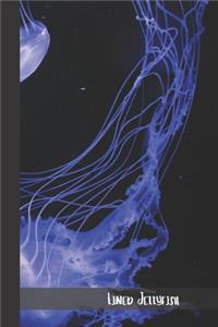 Lined Jellyfish