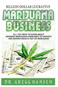 Billion Dollar Lucrative Marijuana Business