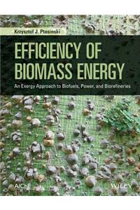 Efficiency of Biomass Energy