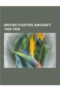 British Fighter Aircraft 1920-1929