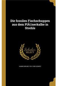 fossilen Fischschuppen aus dem Plänerkalke in Strehle