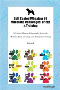 Soft Coated Wheatzer 20 Milestone Challenges