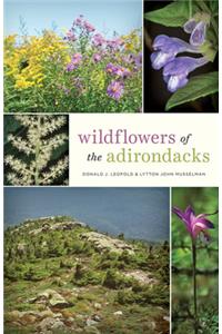 Wildflowers of the Adirondacks