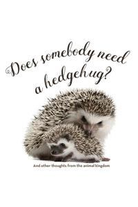 Does Somebody Need a Hedgehug?