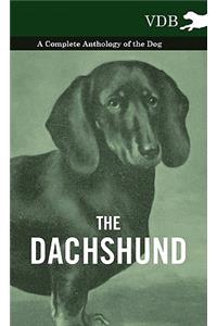 The Dachshund - A Complete Anthology of the Dog -