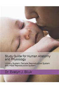 Study Guide for Human Anatomy and Physiology