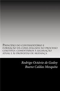 Principio Do Contraditorio E Formacao Da Coisa Julgada No Processo Coletivo: Comentarios a Legislacao Atual E as Propostas de Mudanca