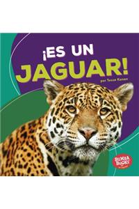 ¡Es Un Jaguar! (It's a Jaguar!)