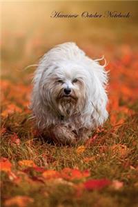 Havanese October Notebook Havanese Record, Log, Diary, Special Memories, to Do List, Academic Notepad, Scrapbook & More