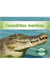 Cocodrilos Marinos (Saltwater Crocodiles)