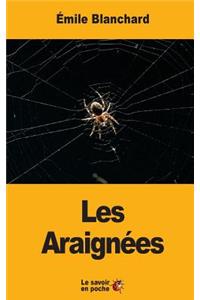 Les Araignées