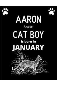 AARON a cute cat boy is born in January