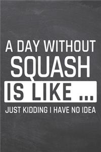 A Day without Squash is like ...