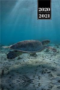 Sea Turtle Tortoise Terrapin Week Planner Weekly Organizer Calendar 2020 / 2021 - Light Rays Through Water