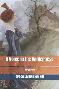 A Voice in the Wilderness