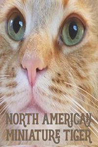 North American Miniature Tiger Ginger Cat 2020 Planner