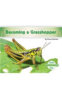 Becoming a Grasshopper