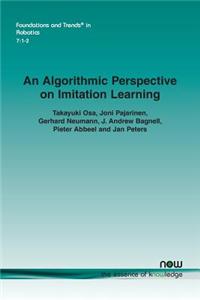 Algorithmic Perspective on Imitation Learning