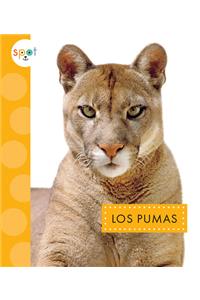 Los Pumas