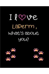 I love Laperm, What's about you?