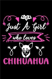 Just a girl who loves Chihuahua