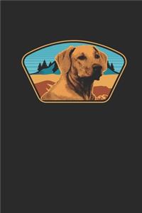 Labrador With Mountains Background