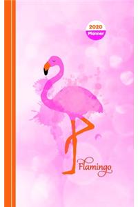 Flamingo School Days