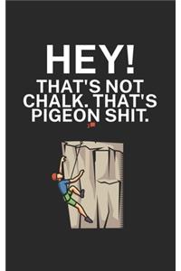Hey Thats not chalk Thats pigeon shit