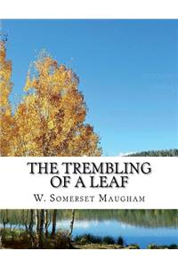 The Trembling of a Leaf