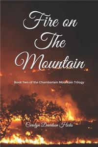 Fire on The Mountain